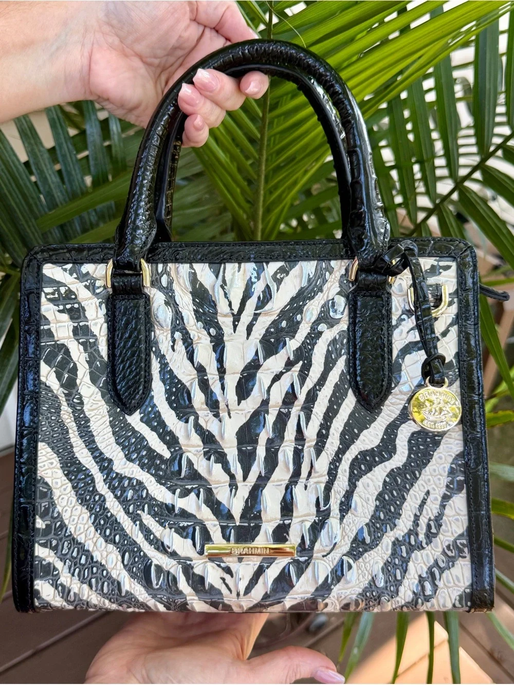 NWT Brahmin Cami Satchel in Zebra Print - Full Set with Dust Bag